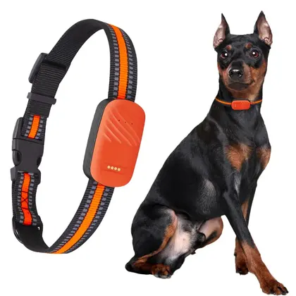 Geo-cerca electrónica del perseguidor de GPS del collar del animal doméstico 4G para los gatos de los perros IP67 impermeable