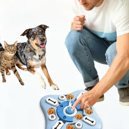 Anti Choke Slow Feeding Dish For Dogs Pu