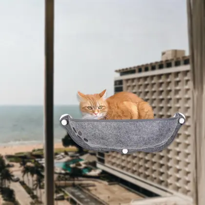 ערסל חלון נצמד לחתול עם וואקום חזק
