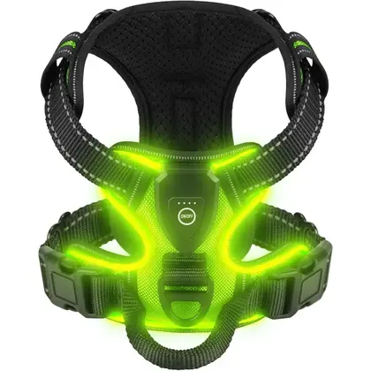 LED Glowing Luminous Dog Harnesses Essen