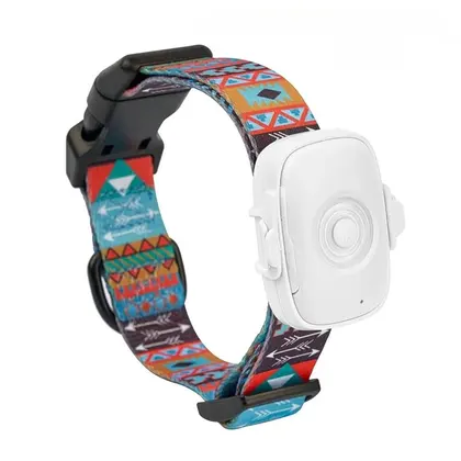 【IMPRESCINDIBLE】 Localizador de mascotas GPS con seguimiento en tiempo real 4G con collar ajustable para hormigas
