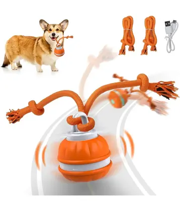 Pet Ball for Dogs Interactive Toys Motion Activate Rolling Ball for Puppy/Small