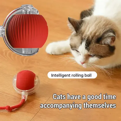 Interactive rolling cat ball